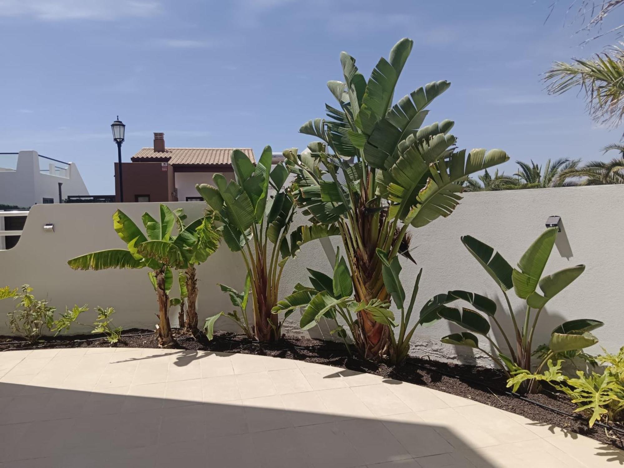 Homeforguest Flat With Large Terrace In Modern Residential Complex With Swimming Pool Caleta de Fuste Exterior foto